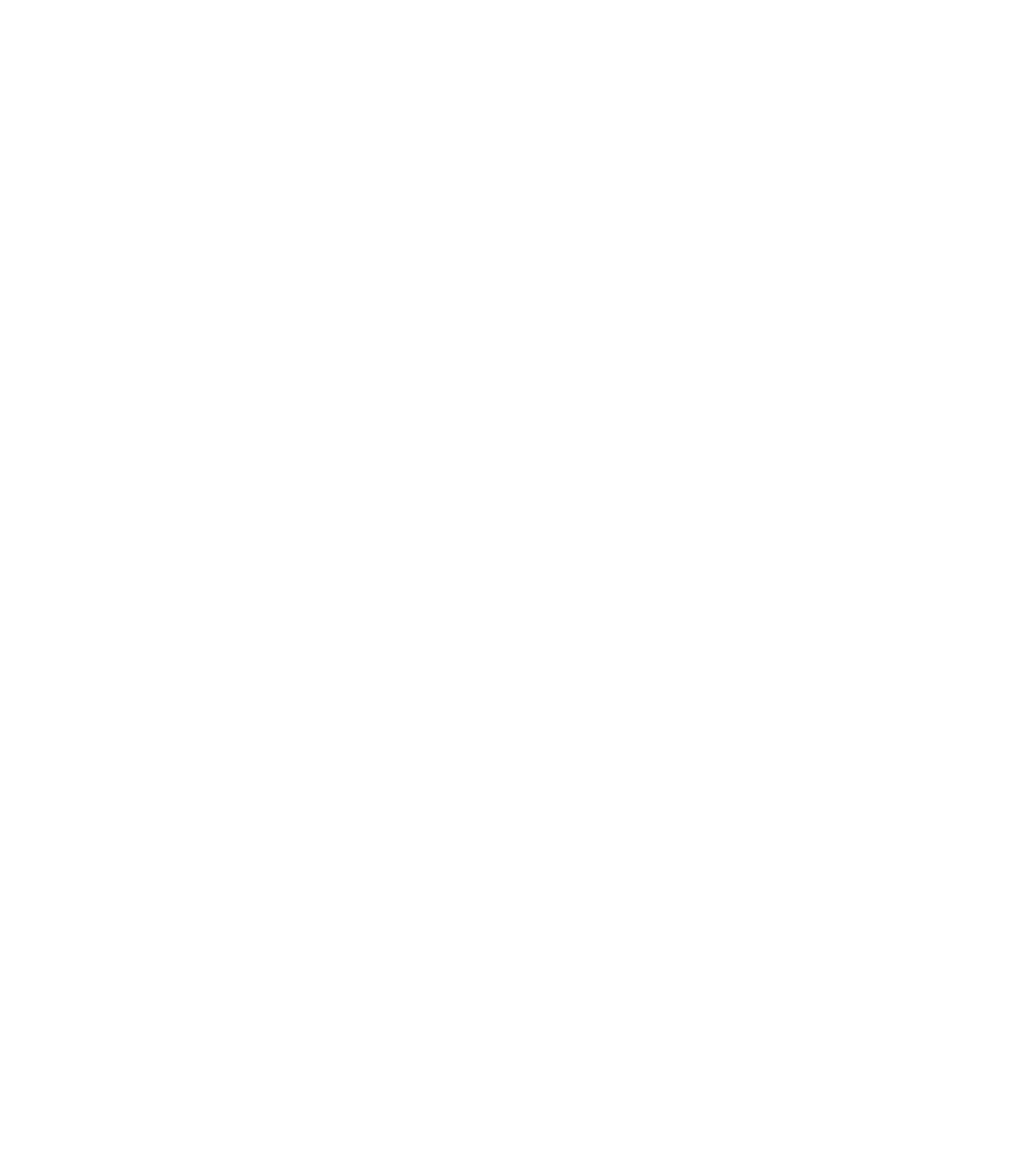 Avocat à Nice : Avocats Arditi Maupetit
